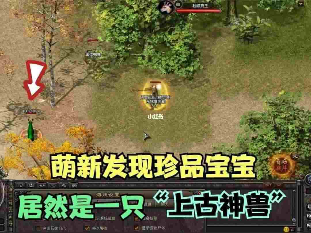 刚开网通中变之热血传奇里面哪里兑换金条